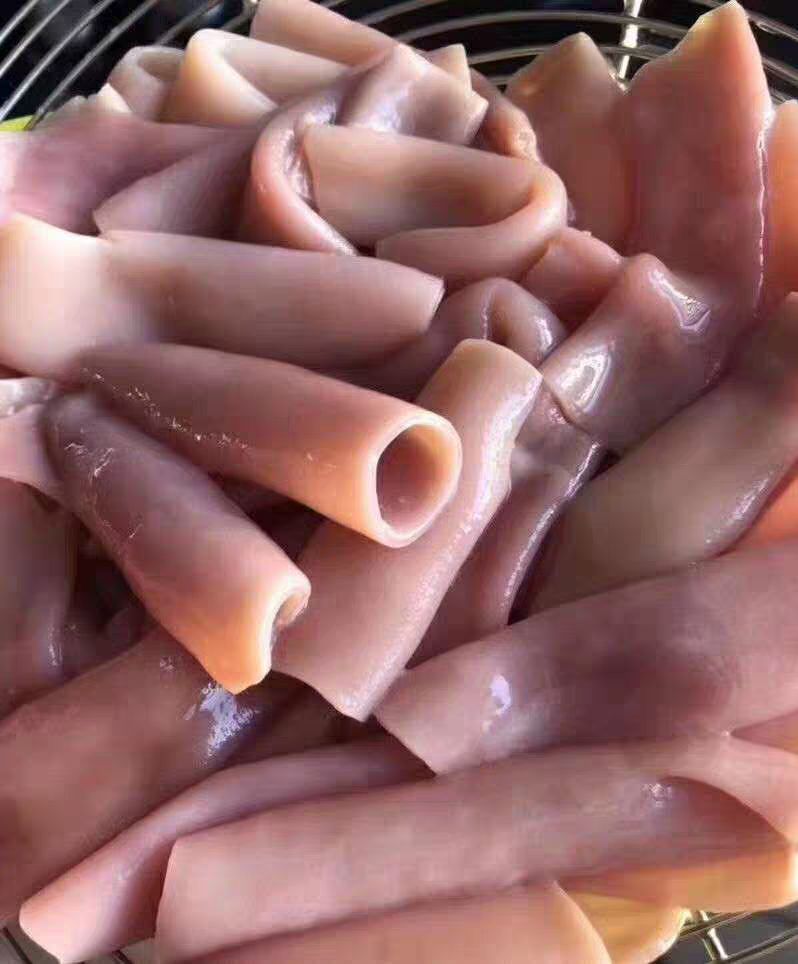  海腸